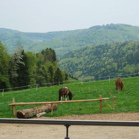 La Joux Chaupe Leilighet Saint-Ursanne Eksteriør bilde