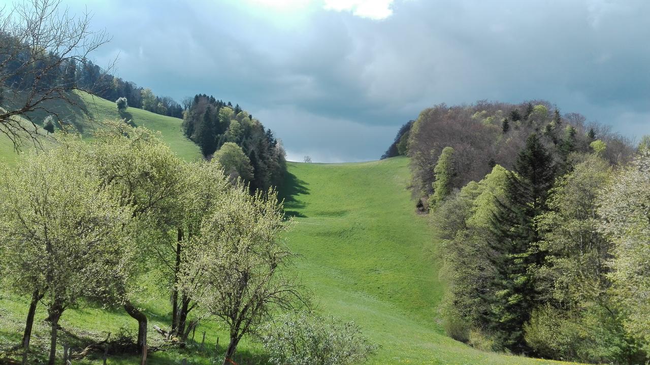 La Joux Chaupe Leilighet Saint-Ursanne Eksteriør bilde