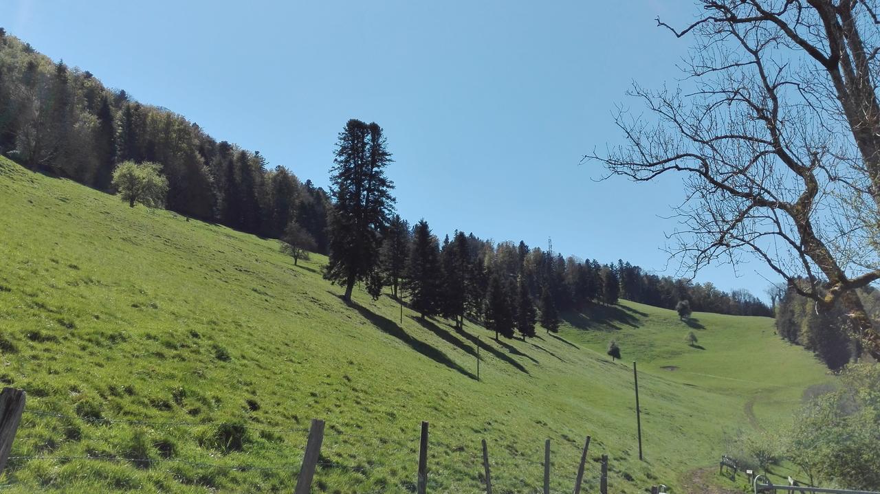 La Joux Chaupe Leilighet Saint-Ursanne Eksteriør bilde